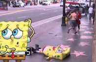 spongebob